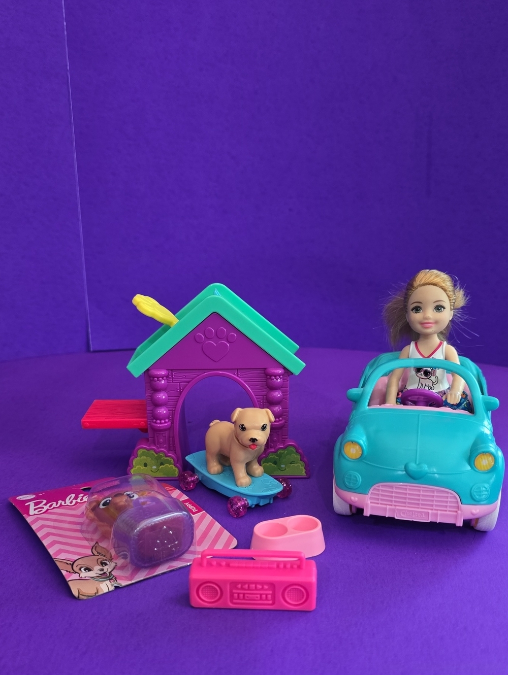 Chelesa Turquoise Car with Pink Accessories & Purple Pet House